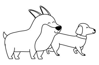 Köpekler cartoonsdesign vector Illustrator vector Illustrator