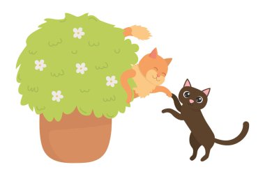 Kediler karikatür tasarım vector Illustrator