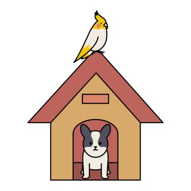 ahşap ev ve kuş ile sevimli küçük köpek