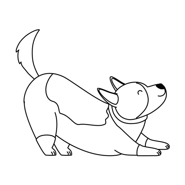 Köpek karikatür tasarım vector Illustrator — Stok Vektör