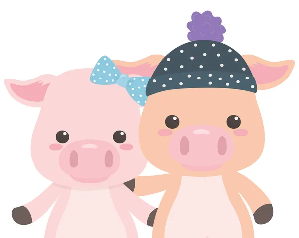 Couple de porcs dessins animés design — Image vectorielle