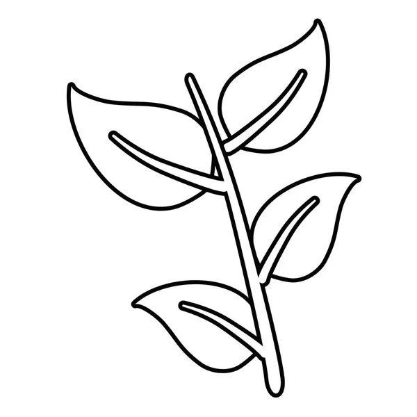 Ізольована рослина з дизайном листя — стоковий вектор