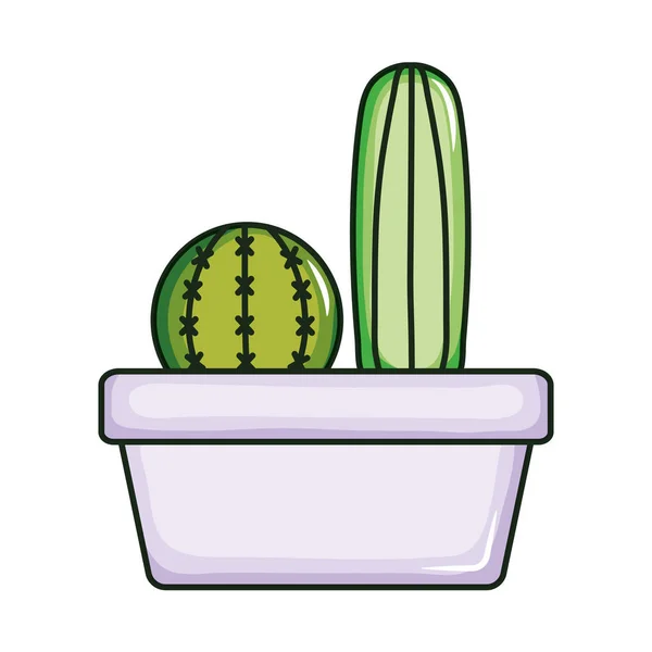Plantes de cactus exotiques en pot en céramique — Image vectorielle