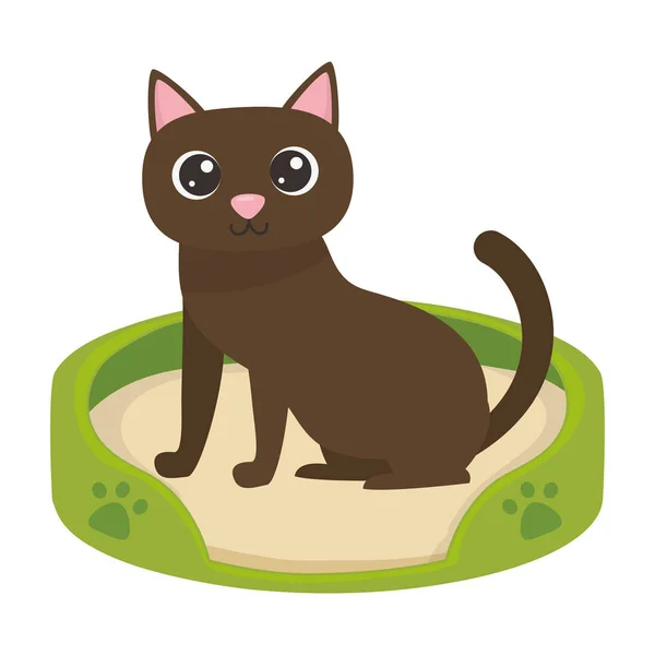 Dibujos animados de gato en diseño de cama — Vector de stock