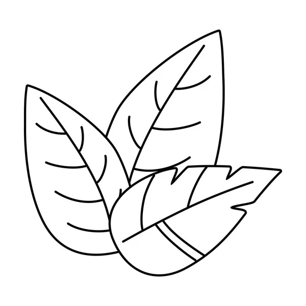 Illustration vectorielle de conception de feuilles isolées — Image vectorielle