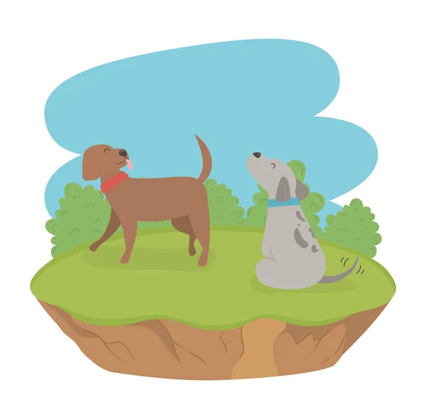Carino piccoli cani mascotte nei personaggi campo — Vettoriale Stock