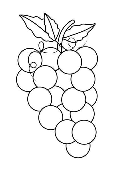 Ilustrador de vectores de diseño de frutas de uvas aisladas — Archivo Imágenes Vectoriales