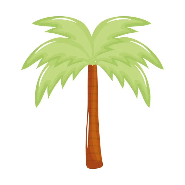 Boom palm strand zomer icoon — Stockvector