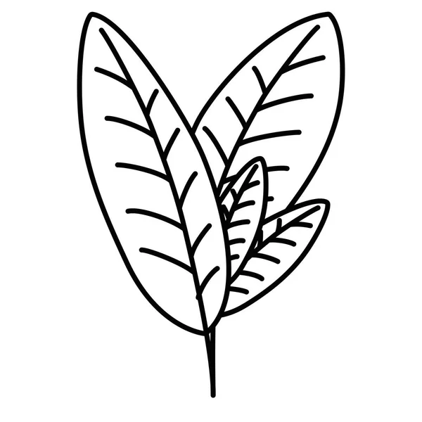 İzole yaprakları tasarım vektör — Stok Vektör