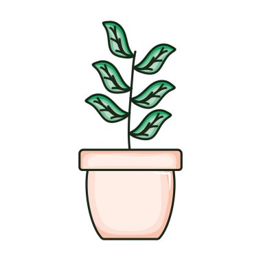 seramik tencerede yaprak bitki ile şube