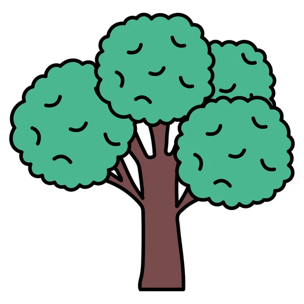 Tree plant forest isolated icon — Stock Vector