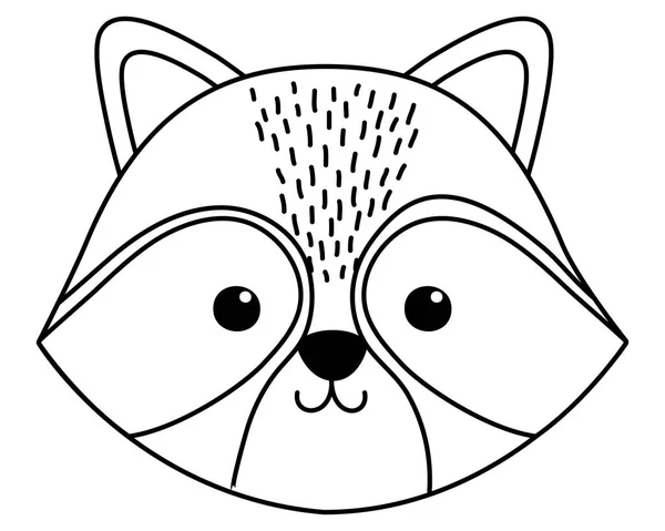 Waschbär Cartoon Design Vektor Illustrator — Stockvektor