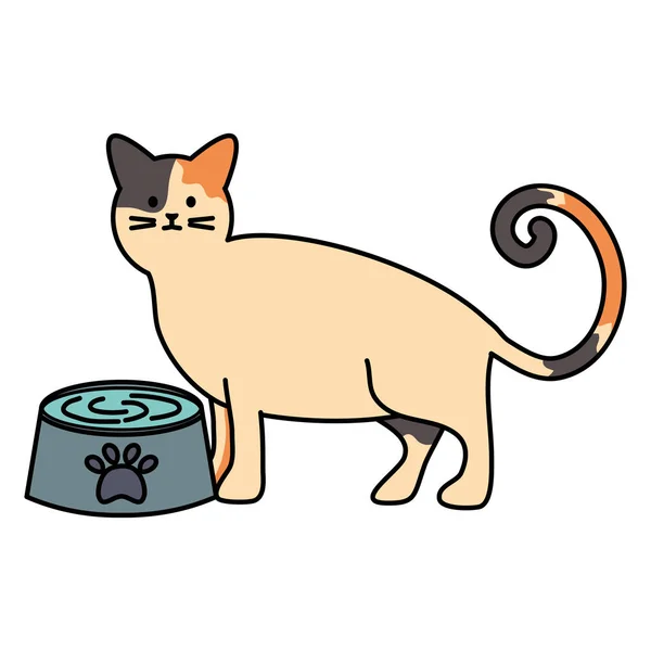 Mascote gato bonito com água prato —  Vetores de Stock