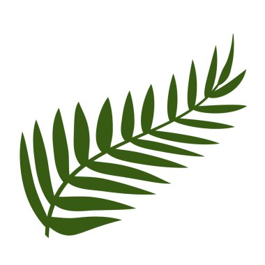 İzole yaprak tasarım vektör illüstrasyon