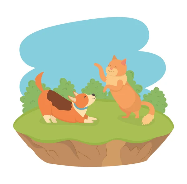 Lindo pequeño perro y gato mascotas en los personajes de campo — Archivo Imágenes Vectoriales