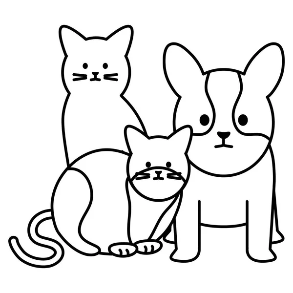 Cute koty i pies maskotki adorables znaków — Wektor stockowy