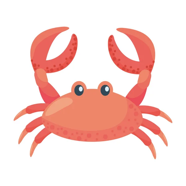 Isolated crab cartoon design vector illustration — Stock Vector