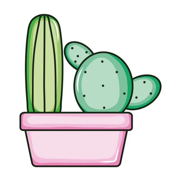 Plantes de cactus exotiques en pot en céramique — Image vectorielle