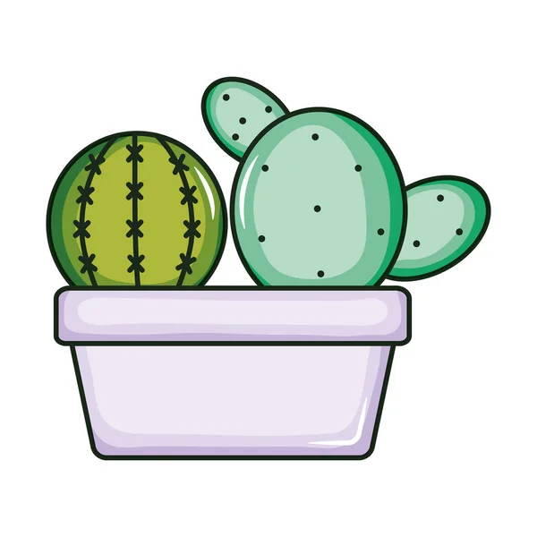 Plantas de cactus exóticas en maceta de cerámica — Vector de stock