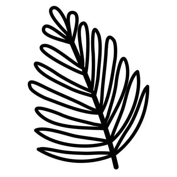 Пальмы из экзотических и тропических листьев — стоковый вектор