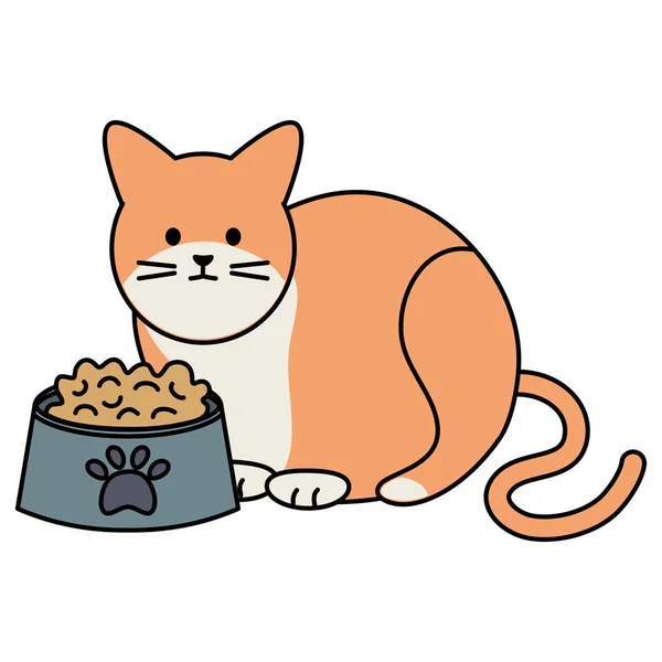 Maskota kočičí, s jídlem — Stockový vektor