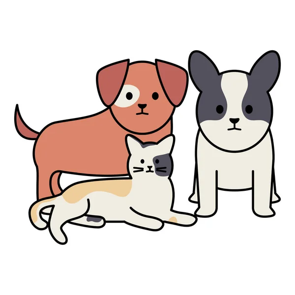 Małe psy i koty zdobi znaki maskotki — Wektor stockowy