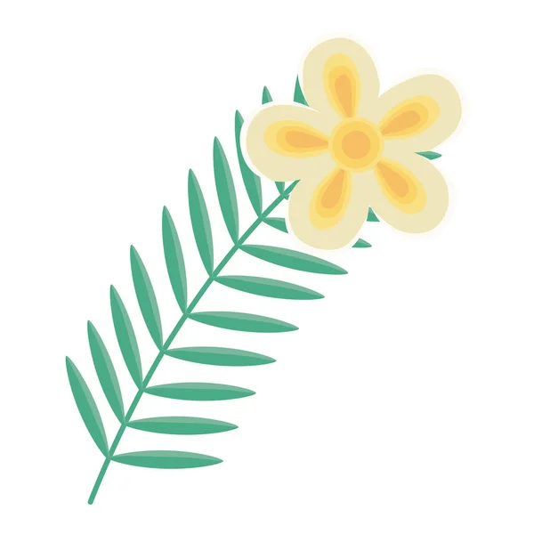 Leaf design, Plant floral vector illustration