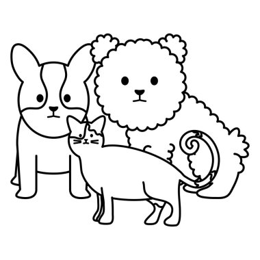 küçük köpekler ve kedi adorables masbebek karakterleri