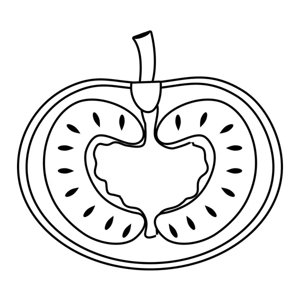 Ilustrador de vectores de diseño de tomate aislado — Vector de stock