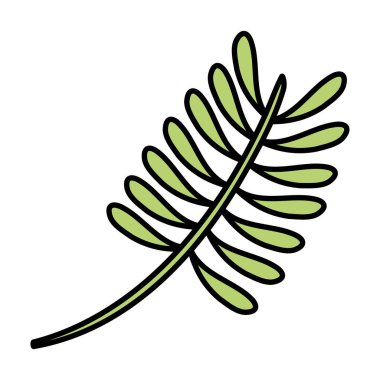 egzotik ve tropikal yaprak palmiye