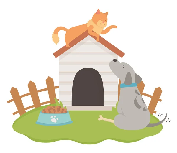 Cat and dog cartoon design — Stock Vector