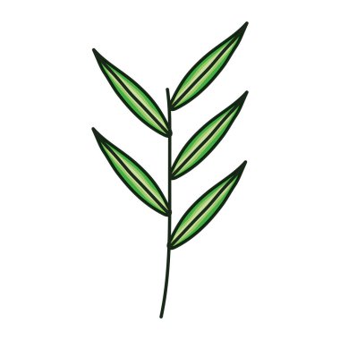 Yapraklı dal bitki ekolojisi simgesi