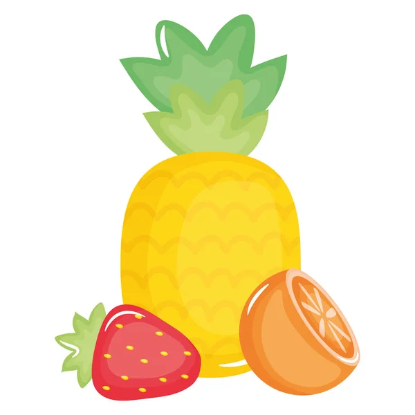 Frische Ananas mit Erdbeere und Orange — Stockvektor
