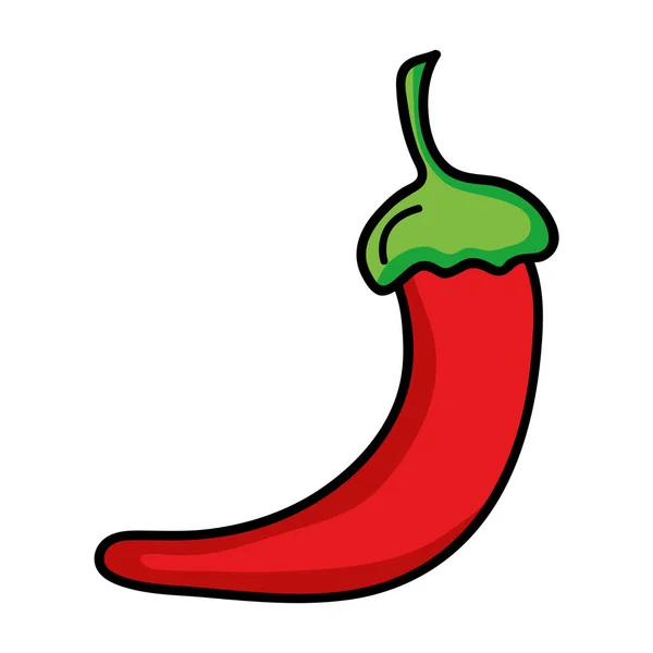 Świeże chili pieprz warzywo ikona — Wektor stockowy