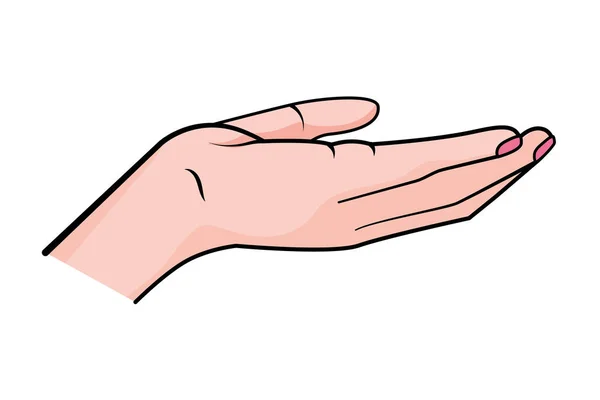 Open-Hand-Icon-Vektor-Illustration — Stockvektor