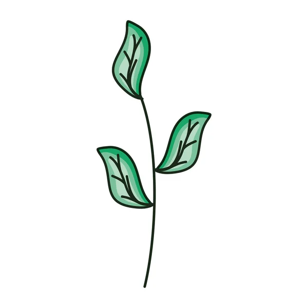 Ág levelekkel növény ökológia ikon — Stock Vector