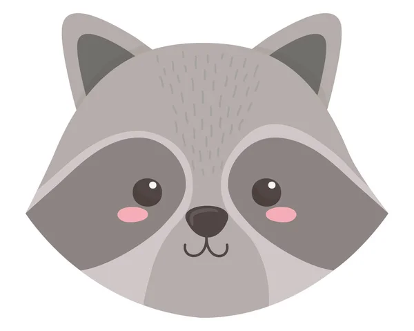 Raccoon Cartoon projekt wektor ilustrator — Wektor stockowy