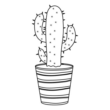 Seramik pot egzotik kaktüs bitki