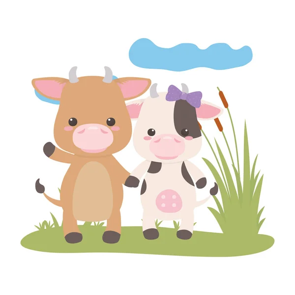 Stier und Kuh Cartoon-Design — Stockvektor