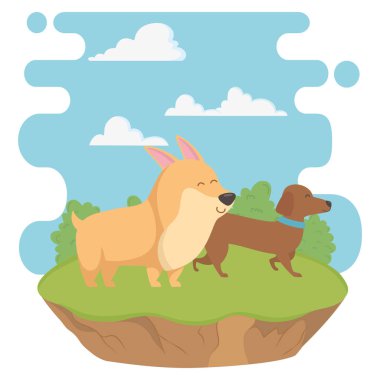 Köpekler karikatür tasarım vector Illustrator