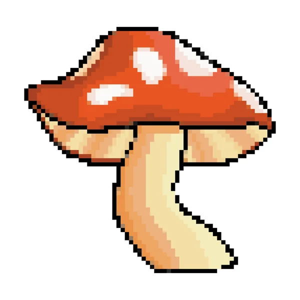 Isolated pointed fungi mushroom design vector illustration — Stock Vector