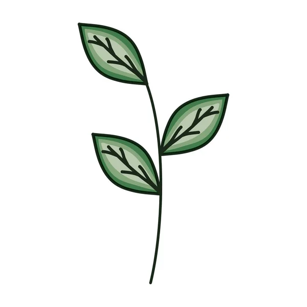 Гілка з листям значок екології рослин — стоковий вектор
