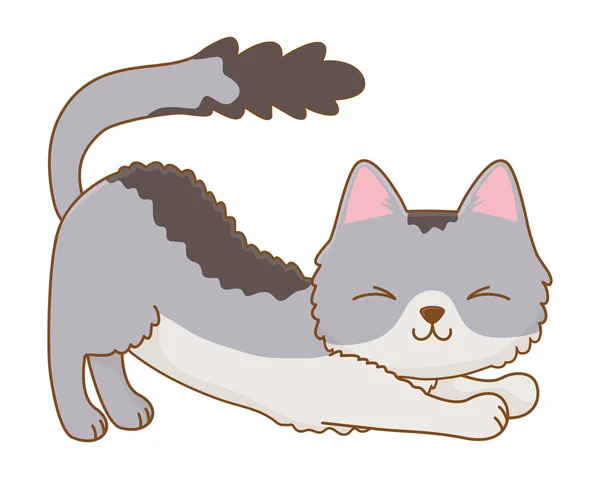 Isolado desenho animado gato desenho vetorial ilustrador — Vetor de Stock