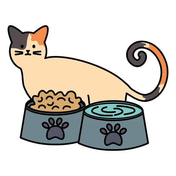 Mascota gato lindo con platos comida y agua — Vector de stock