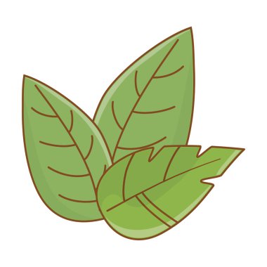 İzole yaprak tasarım vektör illüstrasyon