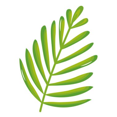 egzotik ve tropikal yaprak palmiye