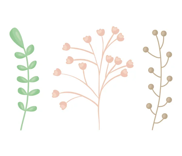 Ramas plantas con flores y hojas — Vector de stock