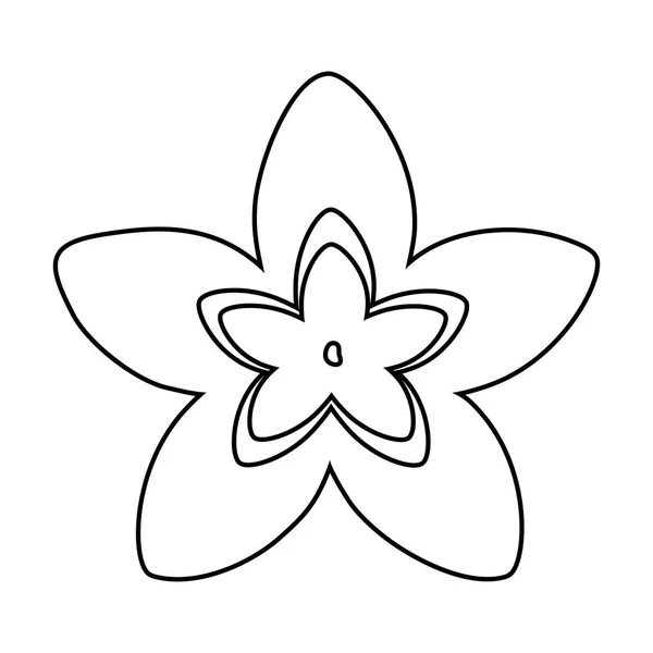 Fleur tropicale et pétales nature dessin animé en noir et blanc — Image vectorielle