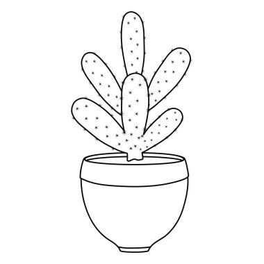 Seramik pot egzotik kaktüs bitki