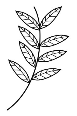 İzole yaprakları tasarım